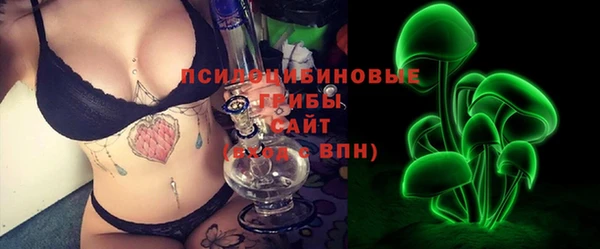 соль ск Верхний Тагил
