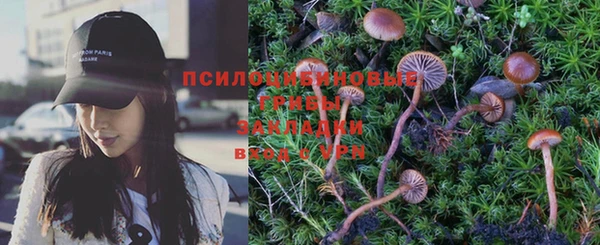 соль ск Верхний Тагил